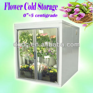Expositor de puerta de cristal con flores, cámara fría, 2 puertas, enfriador para caminar - Product Image 2