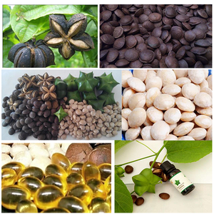 Macchina Sbucciatrice e Decorticatrice per Sacha Inchi, Pinoli, Semi di Canapa e Semi di Anguria - Prezzo - Product Image 5