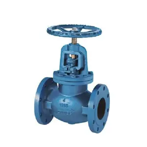 2 2 Way Valve Class 150 2 Inch ASTM A351 CF8 Globe Valve