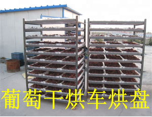 DWT-2-10 Serie transportband kamer droger druiven - Product Image 4