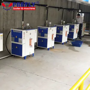 Electric steam boiler with steam iron mini steam boiler