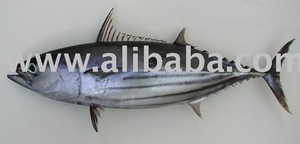 Organic Skipjack Tilapia Whole Fresh Frozen Bulk Box Mariscos secos Piel preservada Proveedor de confianza para filete de pescado Estante largo - Product Image 6