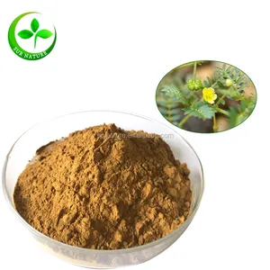 OEM package wholesale of tribulus terrestris extract powder,Saponins