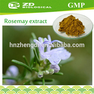 hojas secas de romero y extracto de romero <span class=keywords><strong>rosmarinus</strong></span> <span class=keywords><strong>officinalis</strong></span> - Product Image 1