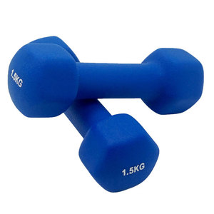 Свободный вес Красочные Тренажерный зал винил Чугунные Мини Неопреновые Гантели для женщин и мужчин - Product Image 4