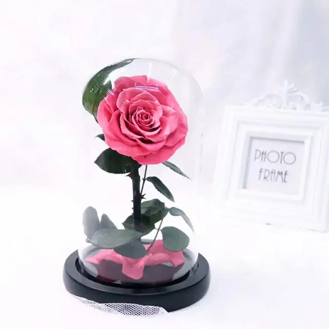 Sconto a tempo limitato decorazione fiore stelo di rosa perpetuo fiore eterno piccolo principe rosa stabilizzata in cupola di vetro