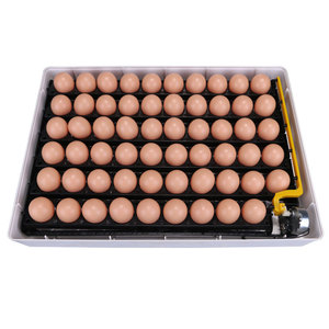 Jifeng marca <span class=keywords><strong>brinsea</strong></span> <span class=keywords><strong>incubadora</strong></span> - Product Image 4