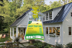 BSTW Chào Mừng OEM ODM Super Magic Fly <span class=keywords><strong>Catcher</strong></span> <span class=keywords><strong>Wasp</strong></span> <span class=keywords><strong>Trap</strong></span> - Product Image 5