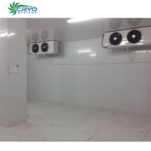 Camarones fruta fresca de naranja almacén de frío <span class=keywords><strong>en</strong></span> Malasia ubicación de cámara frigorífica de fabricantes <span class=keywords><strong>en</strong></span> india - Product Image 1