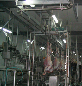 <span class=keywords><strong>Ane</strong></span> équipement de l'usine d'abattage - Product Image 5