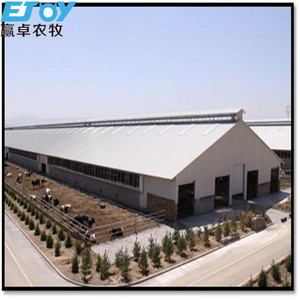Nuova struttura prefabbricata in acciaio per mucche professionale per azienda lattiero-casearia soluzione chiave per il marchio EJOY 1.5 anno di garanzia - Product Image 4
