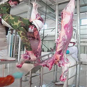 الحلال الثور الماعز خط ذبح الماشية الأغنام ماكينة ذبح الماشية معدات ذبح