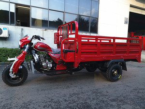 Cheap Price 200CC Lifan Engine Hot Sale <strong>Myanmar</strong> <strong>Tricycle</strong> - Product Image 3