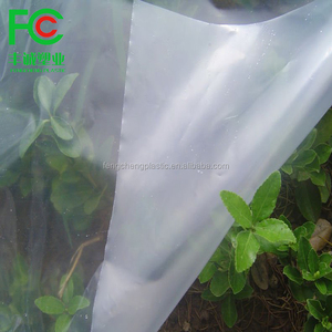 PE <strong>Greenhouse</strong> <strong>Film</strong>, <strong>Etfe</strong> <strong>Greenhouse</strong> <strong>Film</strong>, Tunnel Plastic <strong>Greenhouse</strong> <strong>Film</strong> Agriculture - Product Image 3