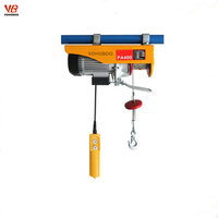 Mini-treuil de levage industriel 110V 220V PA, treuil électrique mini 200kg 300kg 500kg, câble métallique personnalisé fourni