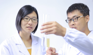 Yüksek kaliteli dihidromiricetin tozu dihidromiricetin - Product Image 6