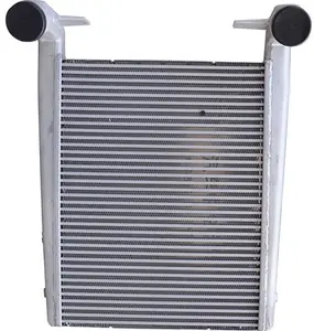 Dongfeng tianlong D310 truck inter cooler assembly Dongfeng automobile water tank 1119010 - K0300 radiator