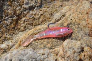 En gros artificielle leurre souple leurre <span class=keywords><strong>de</strong></span> pêche - Product Image 6