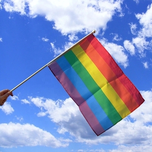 Günstige Polyester Custom Printed Mini Regenbogen Gay Pride Lgbt Hand flaggen für die Förderung - Product Image 1