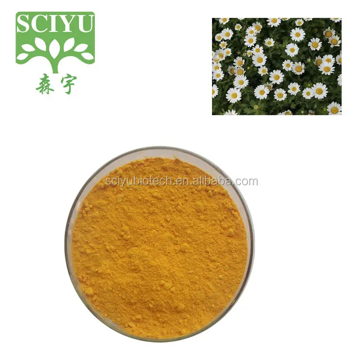 Extrait de chrysanthème naturel de 1.2% à 98%, apigin, extrait de chrysanthème