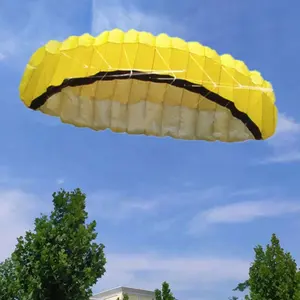 Cometa inflable de doble línea, parapente para decoración de playa