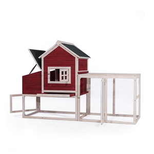 Poulailler en bois Pollai Per Galline avec nichoir - Product Image 4