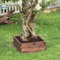 Bac à plantes rectangulaire surélevé en gros, style chinois, imperméable, revêtement poudré, écologique, pour aménagement de jardin et jardinière