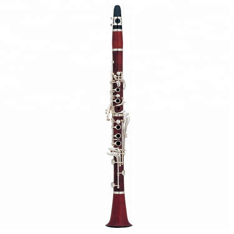 17-Keys-Professional-Sliver-
