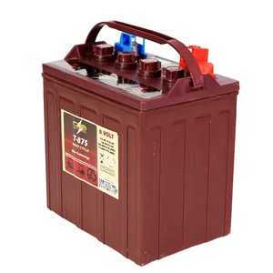 USA Trojan wet Lead Acid Deep Cycle Buggy Battery -T875(8V170Ah)made in China