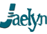 Guangzhou Jaelyn E-Commerce Co., Ltd. logo