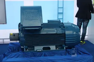 WEG HGF 전기 AC 모터