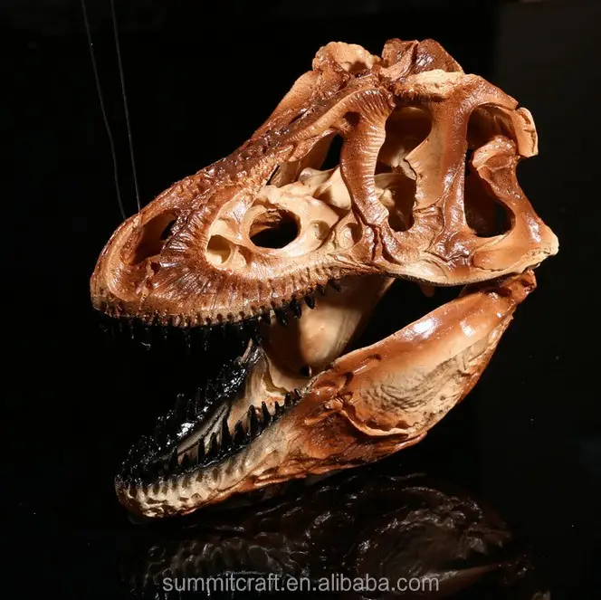 Résine antique affichage tête de dinosaure fossiles
