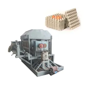 Hot Sale Egg Tray Carton Making Machine Production Line With Competitive