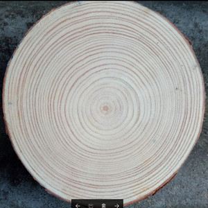 Tranches et cercles de <span class=keywords><strong>bois</strong></span> de pin naturel non fini, écorces d'arbre, disques de <span class=keywords><strong>bois</strong></span> pour l'artisanat DIY, décorations de mariage, décorations de fête, maisons de poupées, enseignes murales - Product Image 2