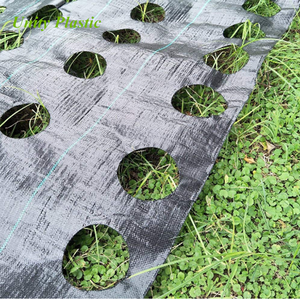 Barrière anti-mauvaises herbes en <span class=keywords><strong>plastique</strong></span> 2018, paillis <span class=keywords><strong>plastique</strong></span> <span class=keywords><strong>noir</strong></span> - Product Image 2