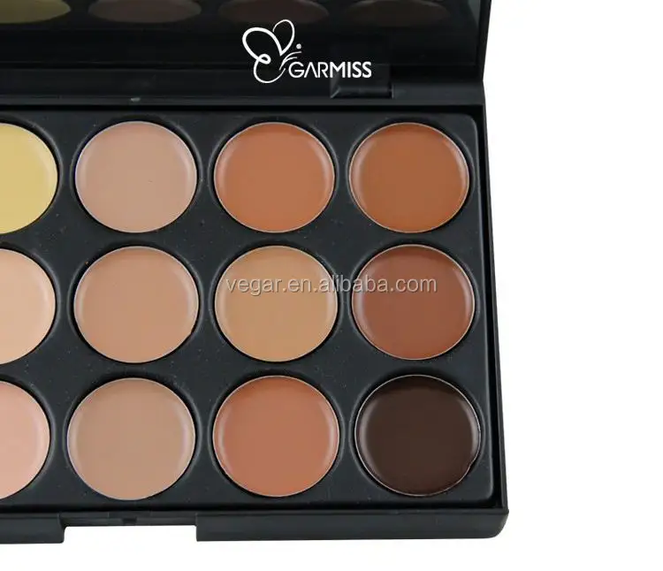 Mejor impermeable líquido Fundación maquillaje profesional 15 Color cara maquillaje corrector paleta