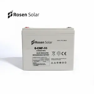 Rosen 小型存储 12 V 55Ah 太阳能凝胶电池商业 UPS