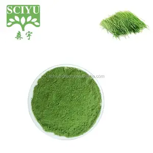 Pure Wheat Grass Powder, Wheat Grass extract powder, Wheatgrass Powder