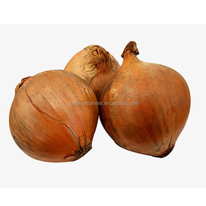 Top Quality Chinese <strong>Onion</strong> for Sale - Product Image 6