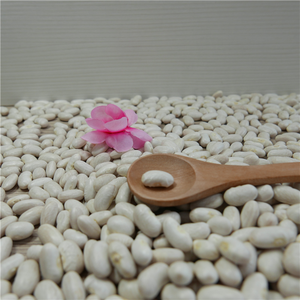 คุณภาพสูง White Kidney Bean ตลาดราคา - Product Image 6