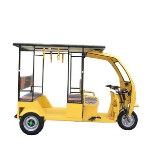 Bán Hot Tree-Wheeler Xe Đạp Điện 2 Chỗ Mobility Scooter Ba Bánh Tự Động Xe Kéo Để Bán