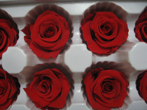 Vente en gros de décoration de mariage, bouquet de <span class=keywords><strong>roses</strong></span> d'éternité de longue durée, meilleures <span class=keywords><strong>roses</strong></span> pour toujours <span class=keywords><strong>roses</strong></span> conservées avec tête de fleur - Product Image 3