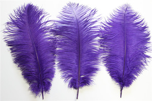 14 "-16" Al Por Mayor de la Tela Púrpura de Plumas de Avestruz Para la Decoración de Plumas de Avestruz Fan - Product Image 3
