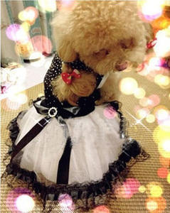 Ropa de perro de boda negra de lujo elegante en existencia perro chica sexy - Product Image 3