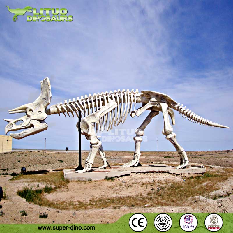 プレシオサウルスの博物館展示恐竜化石シミュレーション