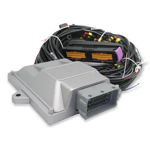 Popular 6cyl 8cyl auto umwandlung kit kleine motor efi ecu kit für verkauf