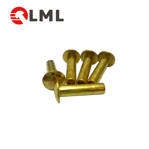 Rivets personnalisés <span class=keywords><strong>Pour</strong></span> Charnières, <span class=keywords><strong>Disque</strong></span> D'<span class=keywords><strong>embrayage</strong></span> De Haute Qualité <span class=keywords><strong>Rivet</strong></span> Polyvalent Auto Piercing Rivets - Product Image 3