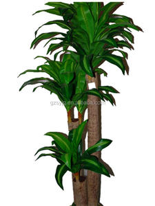 Dekorasi Dalam Ruangan Tanaman Jagung Palsu Cornstalk/Tanaman Wewangian Drakaena Tropis Buatan/Tanaman Faux Plastik dengan Kualitas Terbaik - Product Image 4