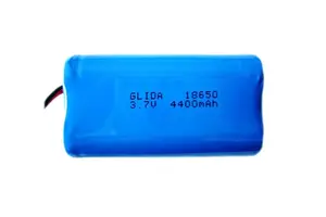 GLIDA INR18650-6S3P 18650 lithium-ion battery Pack com capacidade ROHS Personalizado e etiquetas