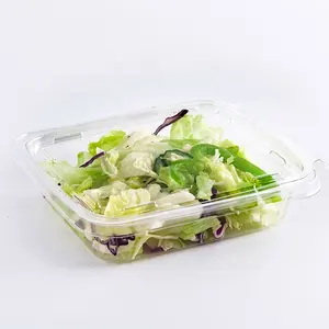 Rectangle PET PLA Food Grade To Go Containers Food Disposable Salad And Fruit Box With Hinged Lid